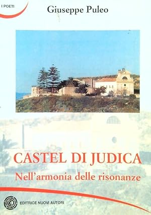 Bild des Verkufers fr Castel di Judica. Nell'armonia delle risonanze zum Verkauf von Librodifaccia