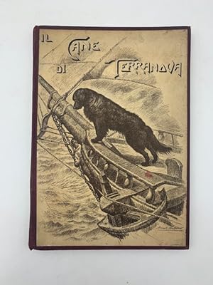 Il terranova cane da salvataggio. Origini, descrizione, caratteristiche, aneddoti