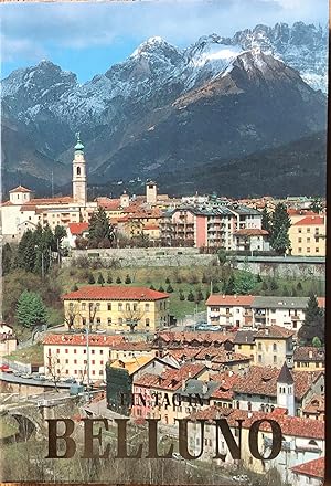 Ein tag in Belluno