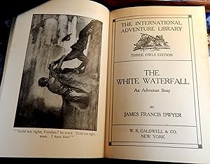Image du vendeur pour The White Waterfall mis en vente par Stahr Book Shoppe