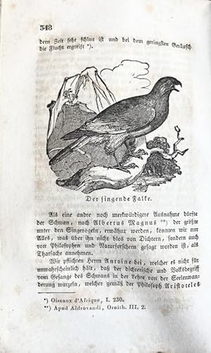 Die Lebensweise der Vögel. Zweite Abtheilung. Mit 17 Abbildungen.