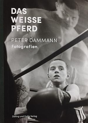 Seller image for Das weisse Pferd. Peter Dammann - Fotografien 1980-2015. - The white horse - Peter Dammann, photographs. for sale by Antiquariat J. Hnteler