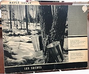 Seller image for Maple sugar / Les sucres for sale by Chelsea Books