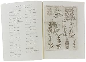 Immagine del venditore per BOTANICA: QUINDICI STAMPINE DAL "DIZIONARIO UNIVERSALE DELLE ARTI E SCIENZE": venduto da Bergoglio Libri d'Epoca