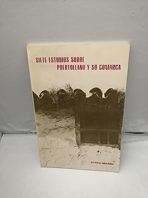 Imagen del vendedor de Siete estudios sobre Puertollano y su comarca a la venta por Libros Angulo