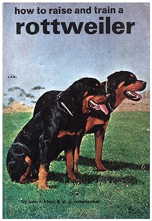 how to raise and train a rottweiler