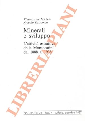 Minerali e sviluppo. L'attività estrattiva della Montecatini dal 1888 al 1938.