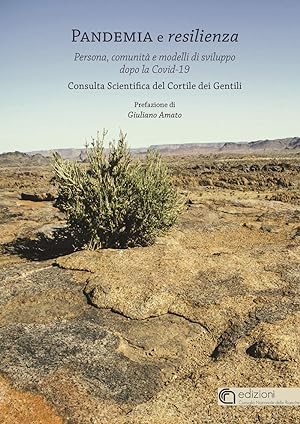 Seller image for Pandemia e resilienza. Persona, comunit e modelli di sviluppo dopo la COVID-19 for sale by librisaggi