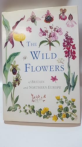 Imagen del vendedor de The Wild Flowers of Britain and Northern Europe a la venta por Cambridge Rare Books