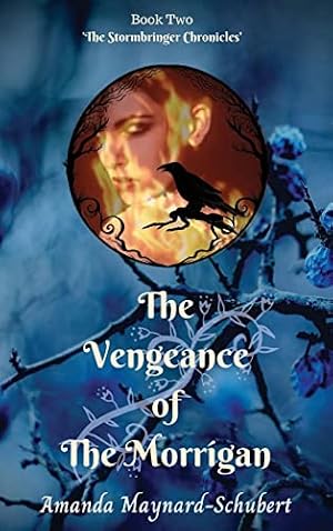 Bild des Verk�ufers f�r The Vengeance of The Morrigan zum Verkauf von WeBuyBooks