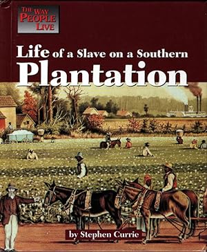 Life of a Slave on a Southern Plantation (Way People Live)