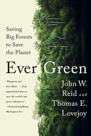 Seller image for Ever Green : Saving Big Forests to Save the Planet for sale by GreatBookPrices