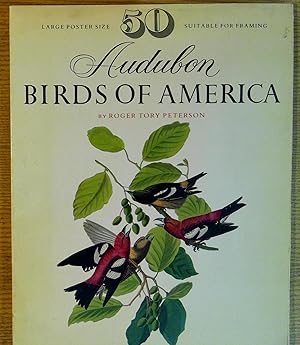 50 Audubon Birds of America