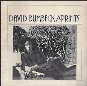Image du vendeur pour David Bumbeck/Prints: Recent Prints and Selected Earlier Works. mis en vente par Brentwood Books
