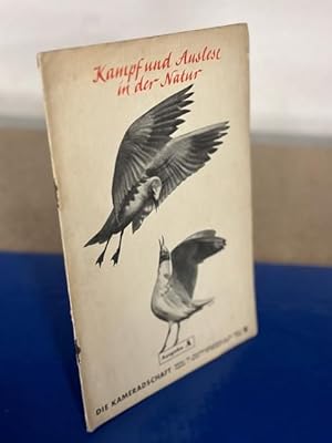 Seller image for Die Kameradschaft - Bltter fr Heimabendgestaltung in der Hitler-Jugend, Folge 2 v. 1938 for sale by Bchersammelservice Steinecke