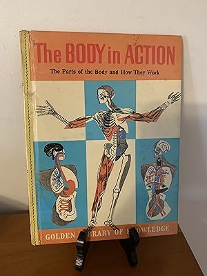 The Body in Action