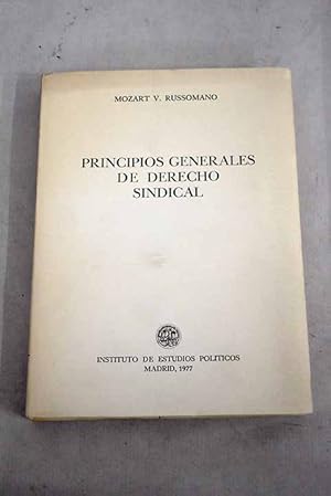 Principios generales de derecho sindical