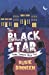 Seller image for The Black Star (Stolen Treasures) [Soft Cover ] for sale by booksXpress