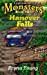 Seller image for Hanover Falls [Soft Cover ] for sale by booksXpress