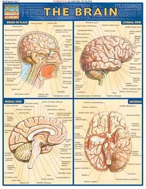 Bild des Verkufers fr Brain zum Verkauf von GreatBookPrices