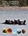 Seller image for Puddles the Raindrop Visits Bear Friends in Colorado [Soft Cover ] for sale by booksXpress