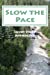 Seller image for Slow the Pace: Short Story Anthology [Soft Cover ] for sale by booksXpress