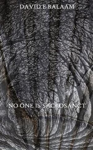 Seller image for No One Is Sacrosanct by Balaam, David E [Paperback ] for sale by booksXpress