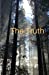 Seller image for The Truth [Soft Cover ] for sale by booksXpress