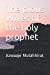 Seller image for The pious Wives of the holy prophet: Azwaaje Mutahhirat [Soft Cover ] for sale by booksXpress