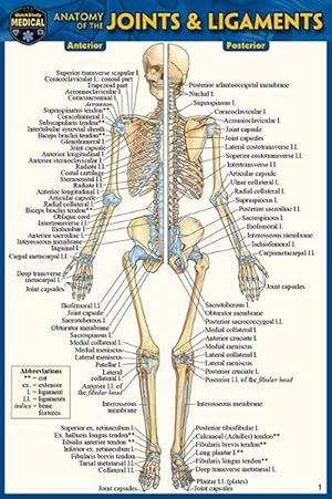 Seller image for Anatomy of the Joints & Ligaments (Pocket-Sized Edition - 4x6 Inches) for sale by Grand Eagle Retail