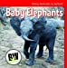 Seller image for Baby Elephants (Baby Animals in Action!) [Soft Cover ] for sale by booksXpress
