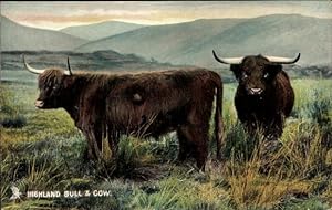 Image du vendeur pour Ansichtskarte / Postkarte Highland and Lowland, Highland Bull and Cow - Tuck 4402 mis en vente par akpool GmbH