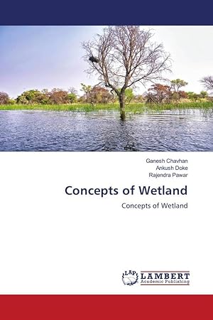 Image du vendeur pour Concepts of Wetland mis en vente par moluna