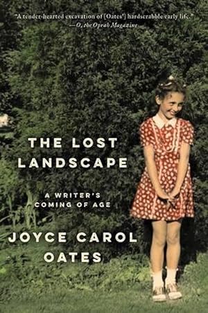 Imagen del vendedor de The Lost Landscape (Paperback) a la venta por Grand Eagle Retail