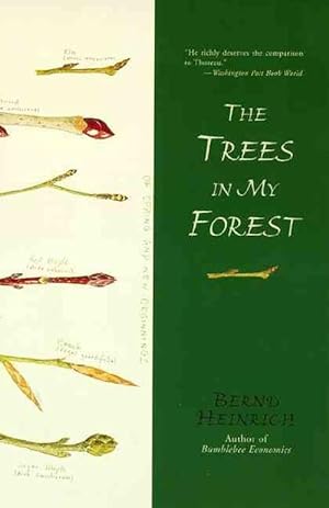 Seller image for The Trees in My Forest (Paperback) for sale by Grand Eagle Retail