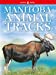 Seller image for Manitoba Animal Tracks [No Binding ] for sale by booksXpress