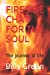 Bild des Verkufers fr FIRESIDE CHAT FOR THE SOUL: The journey of life (Fireside Chat Series) [Soft Cover ] zum Verkauf von booksXpress