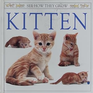 Imagen del vendedor de Kitten. a la venta por Antiquariat Bookfarm