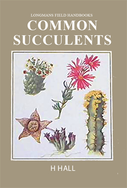 Common Succulents.