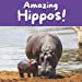 Immagine del venditore per Amazing Hippos! [Soft Cover ] venduto da booksXpress