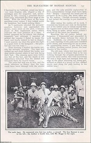 Bild des Verkufers fr The Man-Eaters of Bandar Siantar : tigers. An uncommon original article from the Wide World Magazine, 1929. zum Verkauf von Cosmo Books