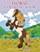 Seller image for Horse Coloring Book: For Kids Ages 9-12 (Young Dreamers Coloring Books) [Soft Cover ] for sale by booksXpress