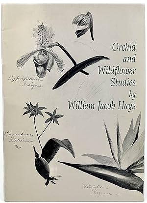 Immagine del venditore per Orchid and wildflower studies by William Jacob Hays (1830-1875): [exhibition] April 4-28, 1984, Berry-Hill Galleries, Inc., New York, N.Y venduto da Resource for Art and Music Books 