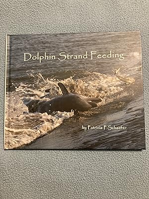 Dolphin Strand Feeding