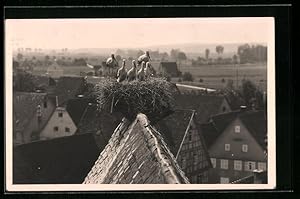 Bild des Verkufers fr Foto-Ansichtskarte Murr, Storchennest im Jahr 1933 zum Verkauf von Bartko-Reher