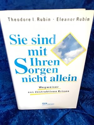 Bild des Verkufers fr Sie sind mit Ihren Sorgen nicht allein. Wegweiser aus destruktiven Krisen Wegweiser aus destruktiven Krisen zum Verkauf von Antiquariat Jochen Mohr -Books and Mohr-