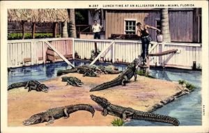 Bild des Verkufers fr Ansichtskarte / Postkarte Miami Beach Florida USA, Lunch Time at an Alligator Farm zum Verkauf von akpool GmbH