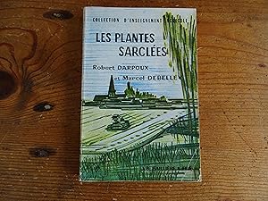 Les Plantes Sarclées