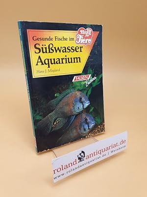 Bild des Verkufers fr Gesunde Fische im Ssswasseraquarium zum Verkauf von Roland Antiquariat UG haftungsbeschrnkt