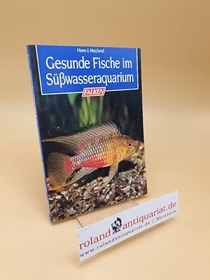 Bild des Verkufers fr Gesunde Fische im Ssswasseraquarium zum Verkauf von Roland Antiquariat UG haftungsbeschrnkt